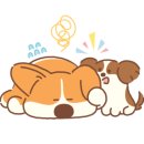 뽀빠이약국 이미지