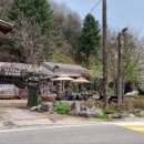 감자네식당 이미지