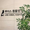 KT만수지점 이미지