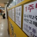 우리집부동산중개사무소 네이버블로그