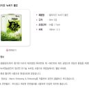 멤버쉽스토어