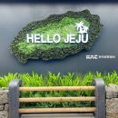 하티 민박 | * 21년 6월 제주 살이 숙소 8곳