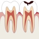뉴욕메디슨치과의원 이미지