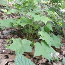 방글농장 이미지