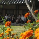 대사로(길안면) 이미지