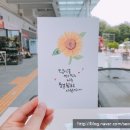 쓰담쓰담캘리공방 이미지