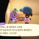 라니푸아 이미지