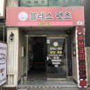 대전펫츠 이미지