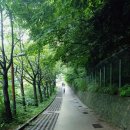 남양제일여인숙 | 1박2일 울릉도 패키지 갔다옴!!-1일차