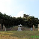 박강 묘역 및 석물 이미지