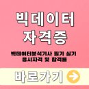 [HD]데이터분석전문가(ADP) 실기 - 실기를 위한 파이썬 | 빅데이터 자격증 빅데이터분석기사 필기 실기 응시자격 및 합격률