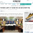 위트네트웍스