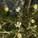 착한막걸리 이미지