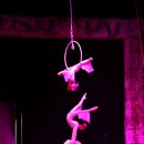 당진월드아트서커스 이미지