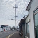 제주피그클리닉 | [제주 맛집] 제주 한림에 있는 떡볶이&amp;한치튀김 맛집 명랑스낵 후기