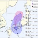 쎈놈 - 경주시 황성로64번길 9-9 | 쎈놈