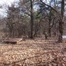 선석산 등산로 이미지