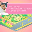 코지타운