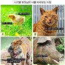 육대장(강릉점)