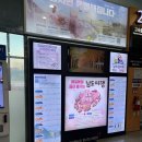 청혼의 의자 | [남도한바퀴] 고흥섬여행 우등 후기