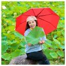 7월19일(토) 속리산 세조길&amp;도자기 정원카페-미드지기님[1-158화] 이미지