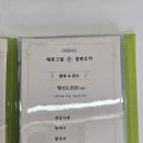 만성로 | 전주 만성동 맛집 철판요리 전문점 테판그릴 후기