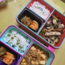 석포로 | [제품후기]흔들어도 섞이지 않는 코코라커 도시락 용기