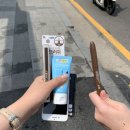 세필모 이미지