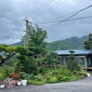 양지민박 이미지