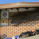 봉두산민박 이미지