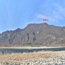 동강할미꽃마을 이미지