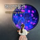 부산해양박물관 | 부산 국립해양박물관 어린이박물관 7살 아이랑 다녀온 후기