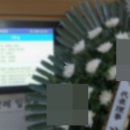 도명선원 이미지