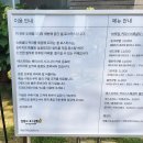 셀로스터스 이미지