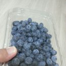 사오농장 이미지