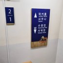 평창 알펜시아리조트 오션700워터파크 준비물 유수풀 내돈내산후기