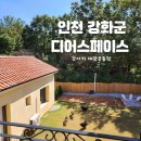 세븐일레븐 강화길상점 | 디어스페이스 인천 강화군 강아지 대관운동장