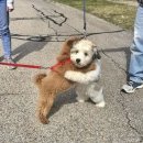 호텔난타 이미지