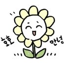 서초권투체육관 이미지