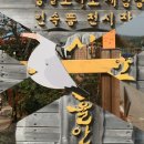 10월26일(화) 양주 선유동산 숲길 걷기, 진행/산사랑님#2 이미지