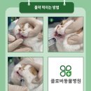 송도 클로버동물병원 이미지