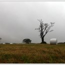 우산목장 이미지