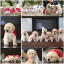 사회복지실천기술론 이미지