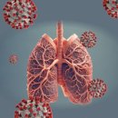 폐 굳어 숨쉬기 힘든 '폐섬유증', 10년 만에 신약 나왔다 이미지