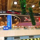 건강제주안마지압원 이미지