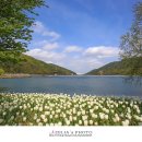 송해공원 제1주차장 이미지