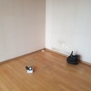 폐기물114