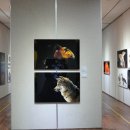 금산다락원 청산아트홀 이미지