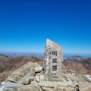 인경네 Daum카페