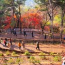 &#34;열리자마자 이렇게 인기 있을 줄이야&#34; 단숨에 9만 명 끌어모은 힐링 산책 코스 이미지